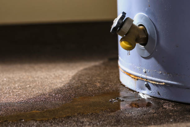 Best 24-hour water damage restoration  in Russell Springs, KY