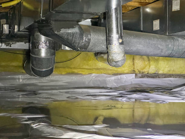 Best Water damage contractors near me  in Russell Springs, KY